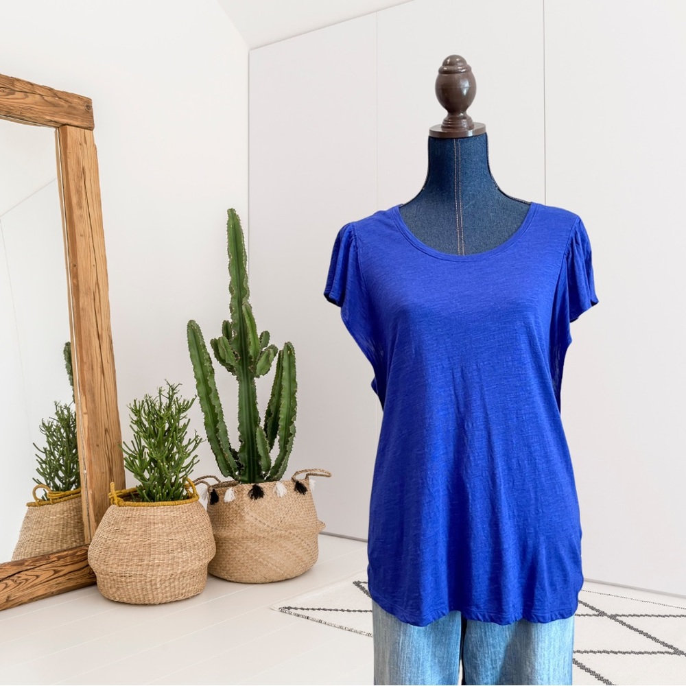 Banana Republic Factory Ruffled Short Sleeve Top